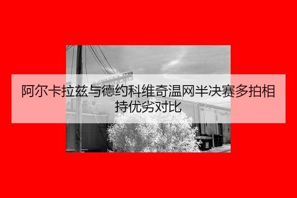 a-er-ka-la-zi-yu-de-yue-ke-wei-qi-wen-wang-ban-jue-sai-duo-pai-xiang-chi-you-lie-dui-bi-2-789.jpg