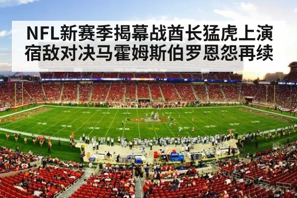 NFL新赛季揭幕战酋长猛虎上演宿敌对决马霍姆斯伯罗恩怨再续